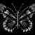 Fanzine Crâne, os, squelette: poster d'illustration d'un papillon, métaphore de l'éphémère, le fragile (blanc).