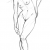 Dessin de modèle vivant, nu de femme en talons, corps féminin.