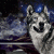Photomontage kitch avec la galaxie et un loup, réaliste et drole, gif clin d'oeil.