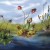 Illustration de la tourbière et des trois plantes carnivores la sarracénie pourpre (ou sarracenia pupurea), la droséra (ou rossolis) et la grassette