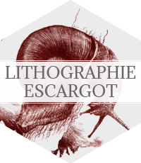 lithographie - escargot