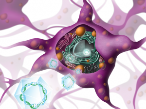 illustration-scientifique-neurone-6